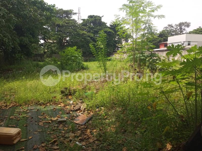 Land for rent Adeola Odeku Victoria Island Lagos