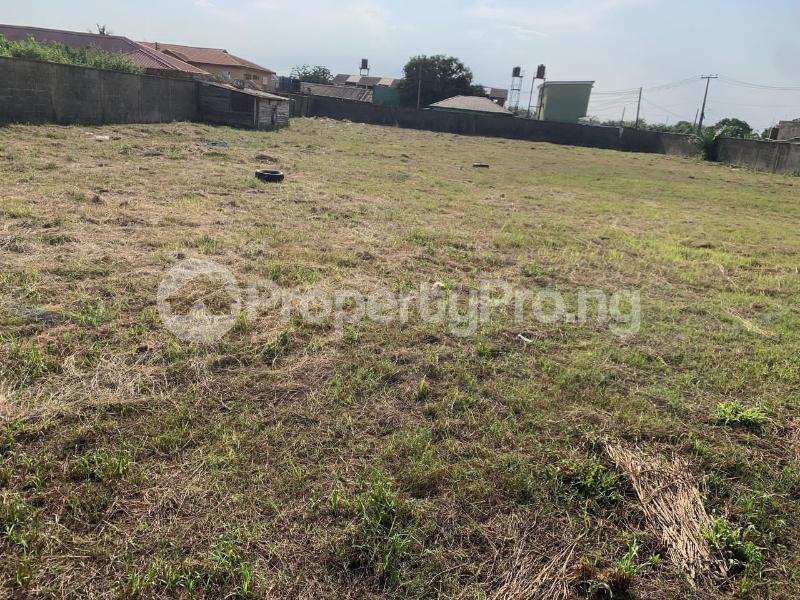 Land for sale On Badore Road Beside Greenville Estate Badore Ajah Lagos