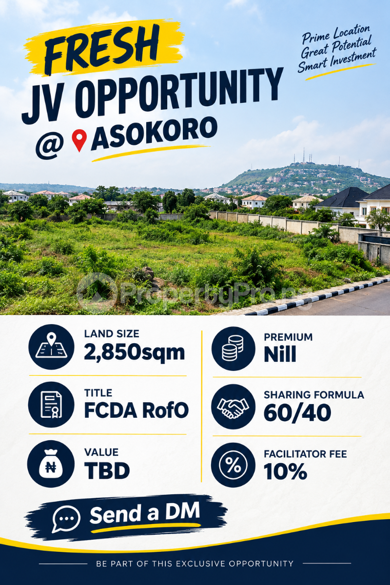 Land for sale Asokoro Abuja - 0