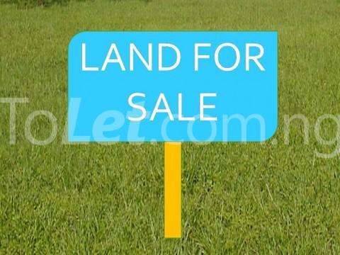 Land for sale Oni Street Off Akowonjo Egbeda Alimosho Lagos