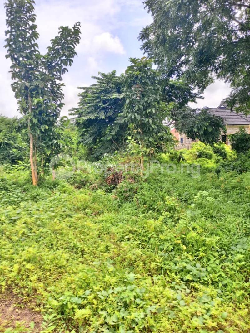 Land for sale Peace & Progress Estate, Adjacent Kolapo Ishola Gra, Akobo, Ibadan Akobo Ibadan Oyo