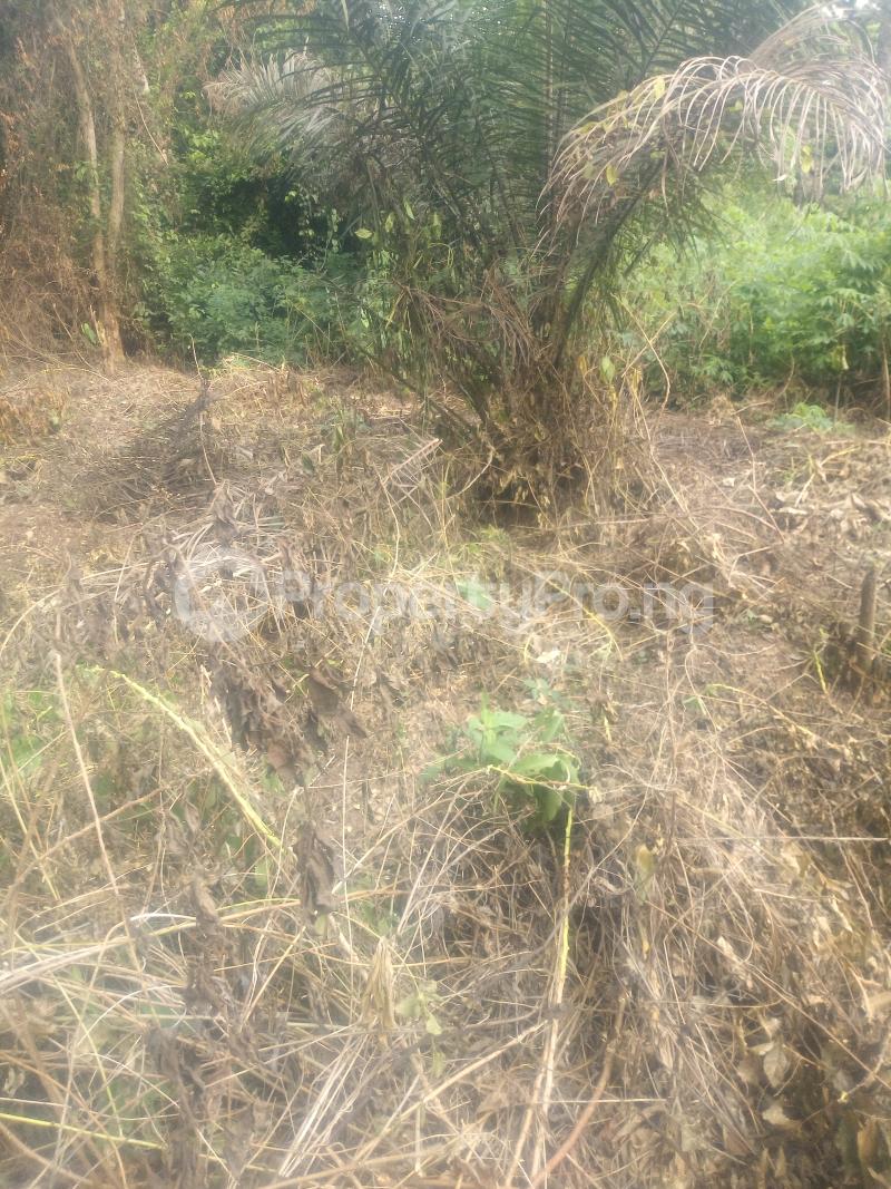 Land for sale Shasha Shasha Alimosho Lagos - 0