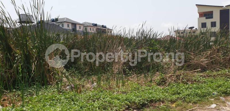 Land for sale Kunsola Road With Title Deed Of Assignment And Global C Of O Ikate Lekki Lagos - 0