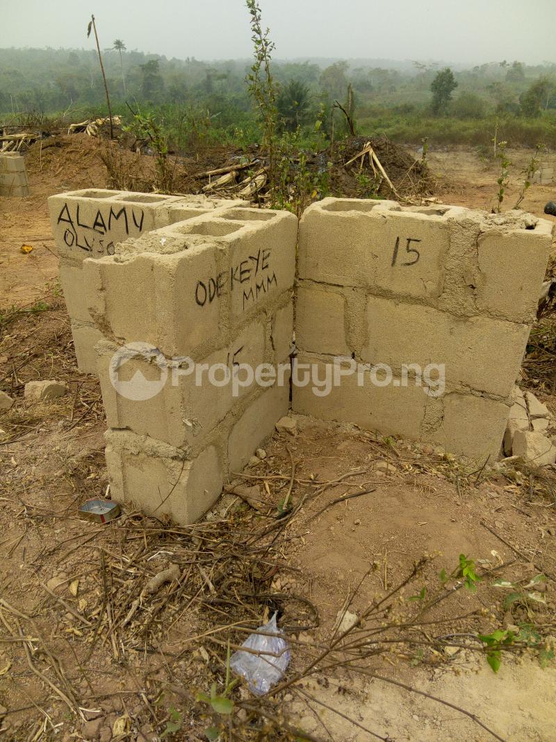 Land for sale Beside Adron Estate, Ayegun Oleyo Akala Express Ibadan Oyo