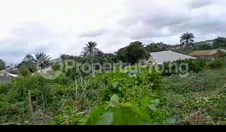 Land for sale Elebu Es, Moniya Opposite King's International College Moniya Ibadan Oyo