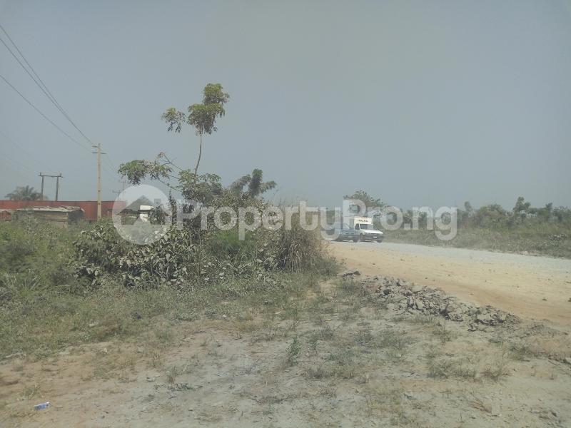 Land for sale Iyana Egbado Bus|stop,itori Ewekoro. Papalanto Ewekoro Ogun - 1