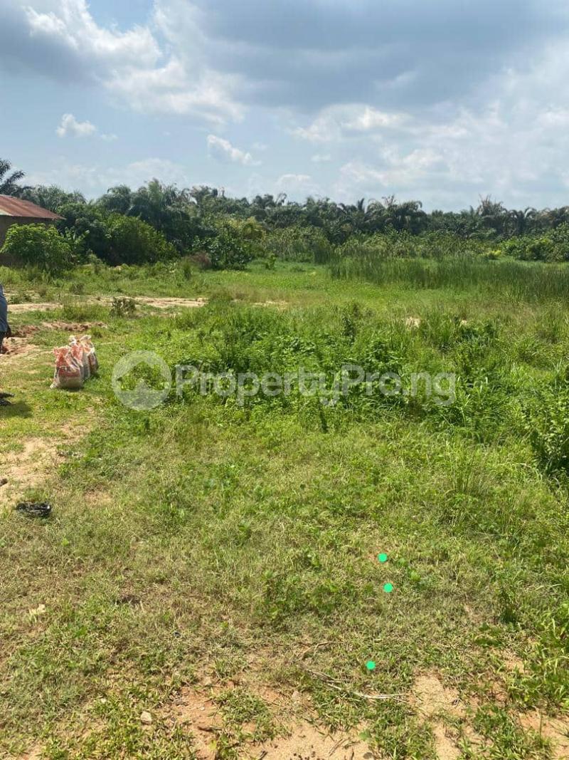 Land for sale Ajogun Isiwo Epe Road Epe Lagos