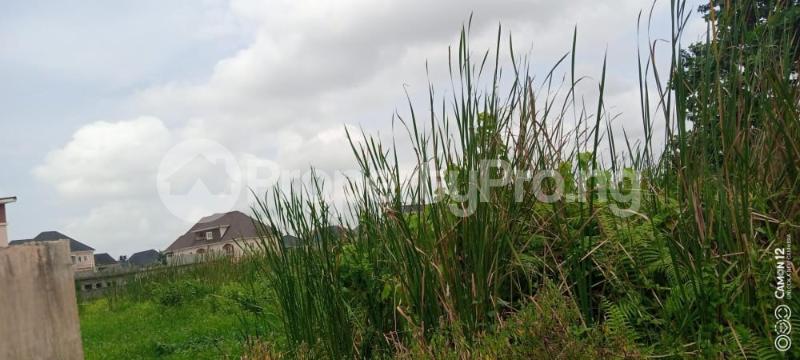 Land for sale Ago palace Okota Lagos