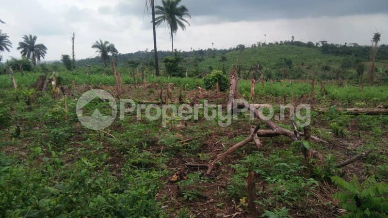 Land for sale Laniba Ajibode Ibadan Oyo
