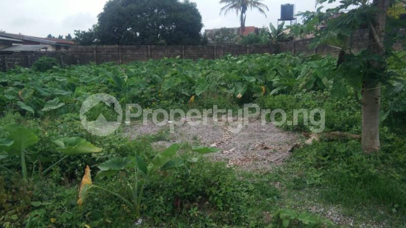 Land for sale Ganiyu Bello Street Felele Challenge Ibadan Oyo