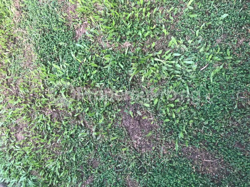 Land for sale Directly Facing Lekki Epe Expressway Ajah Lagos