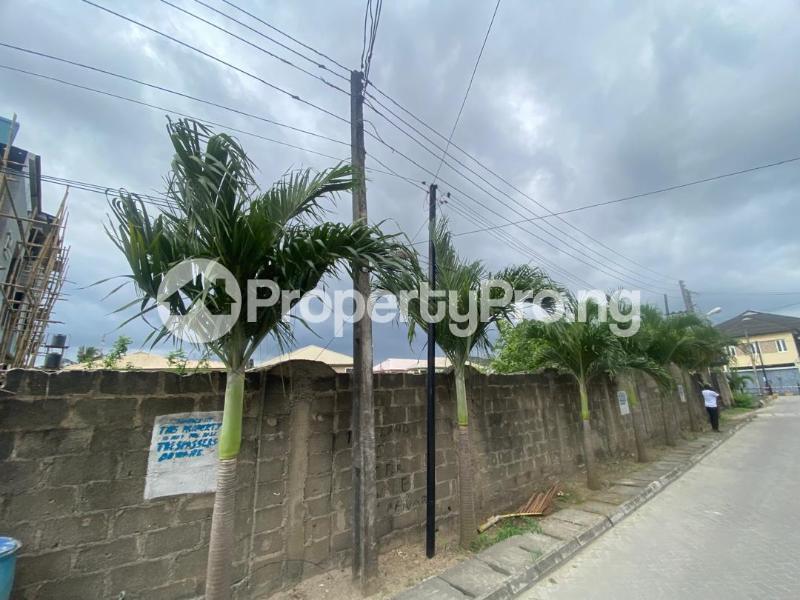Land for sale Arowolo Adeyemi Avenue, Millenuim/UPS Gbagada Lagos - 1