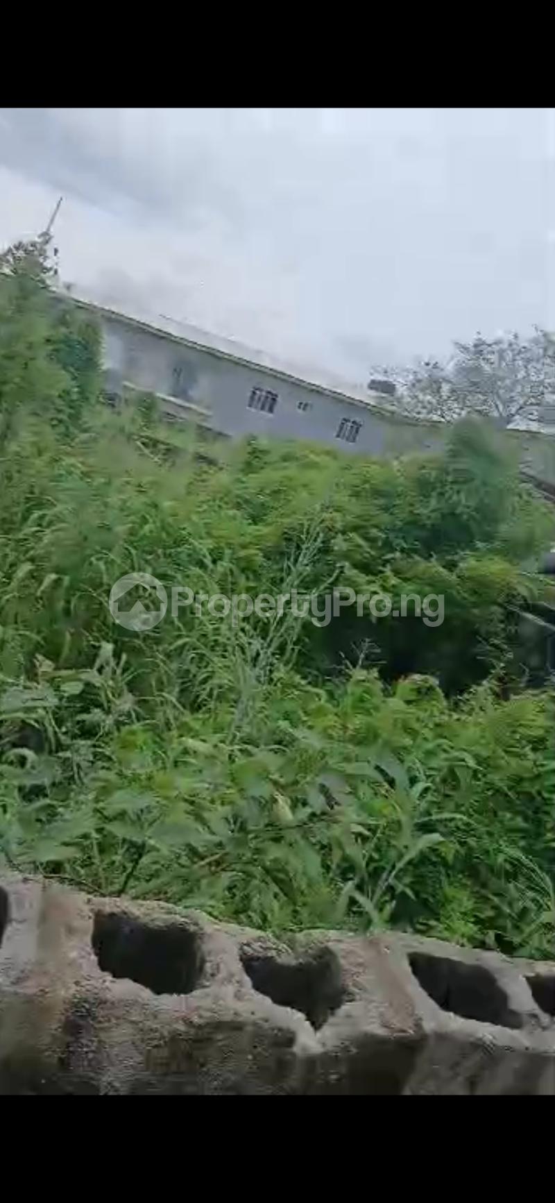 Land for sale Back Of Firstbank Okigwe Road Orji Owerri Imo