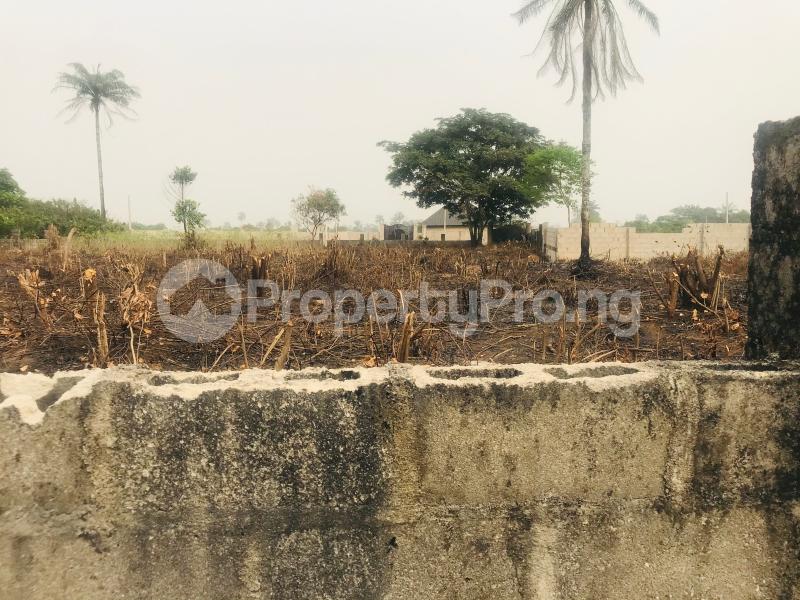 Land for sale Located A Bit Off Port Harcourt Road, Owerri Owerri Imo