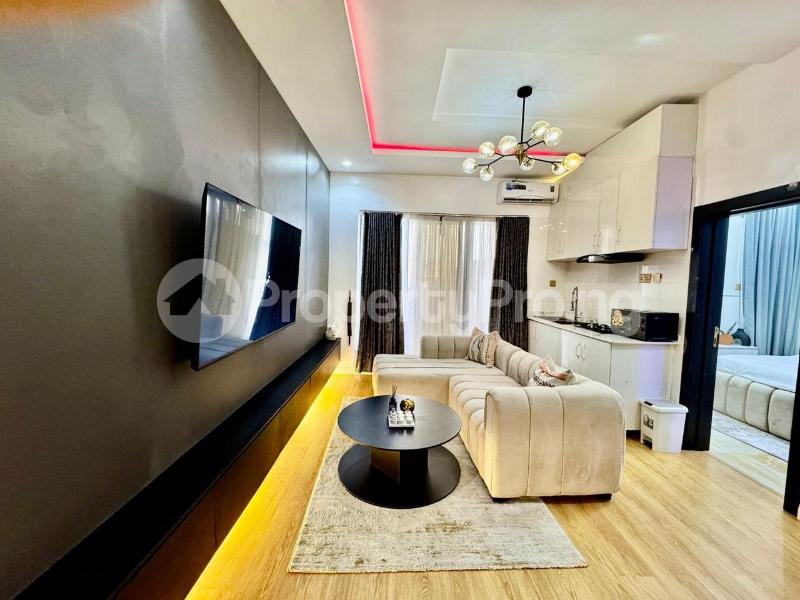 2 bedroom Commercial Property for shortlet Ikeja Lagos