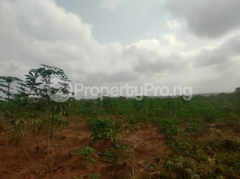 Land for sale Ido Eruwa Road Ido Oyo - 3
