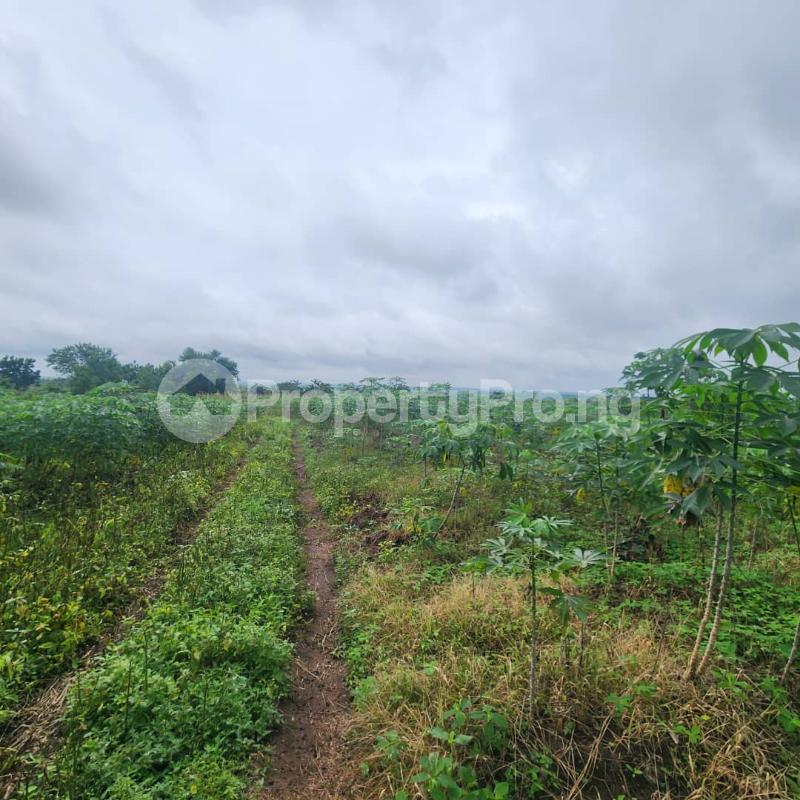 Land for sale Elere, Ido Oyo