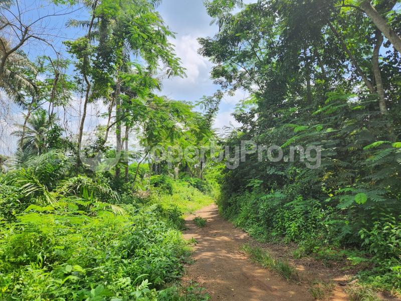 Land for sale Erunmu Off Iwo Road Ibadan Oyo