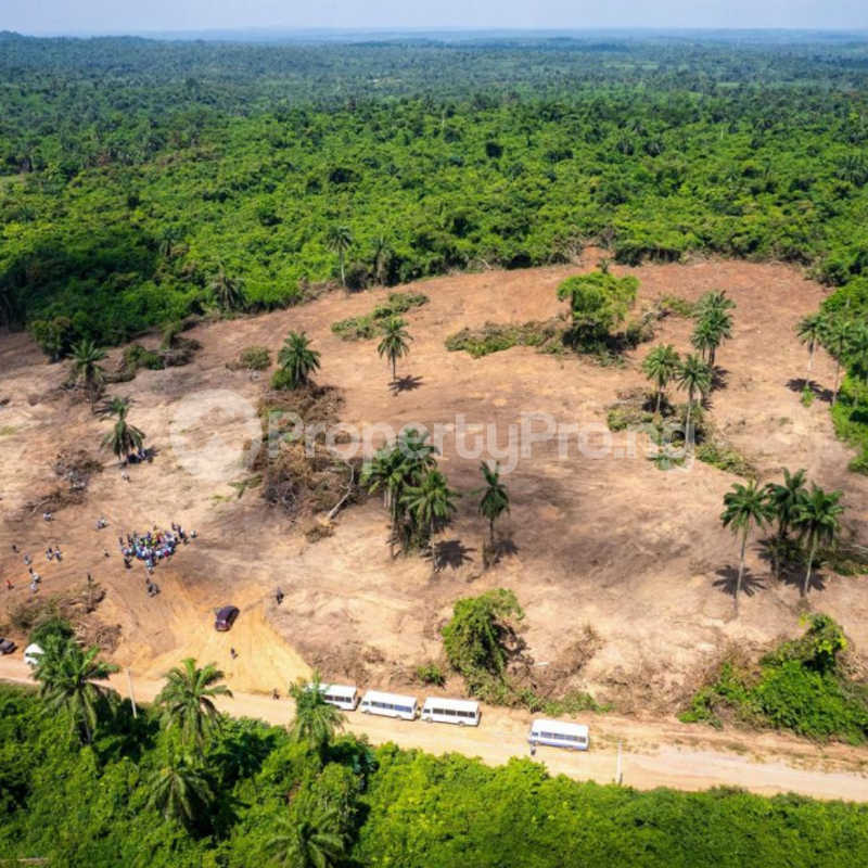 Land for sale Agborun Village/ Primepoint Farm Estate/iyana Obafemi Bus Stop Obafemi Owode Ogun