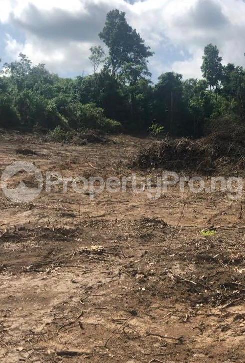 Land for sale Odo Irangushi Epe Lagos - 1