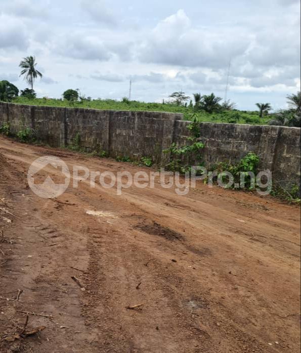 Land for sale Odo Irangushi Epe Lagos