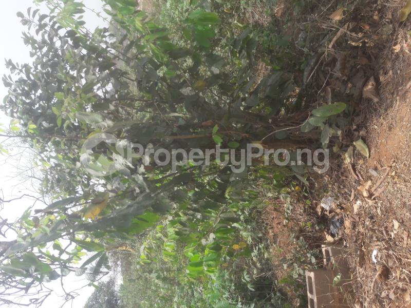 Land for sale Alagbado Lagos Alagbado Abule Egba Lagos