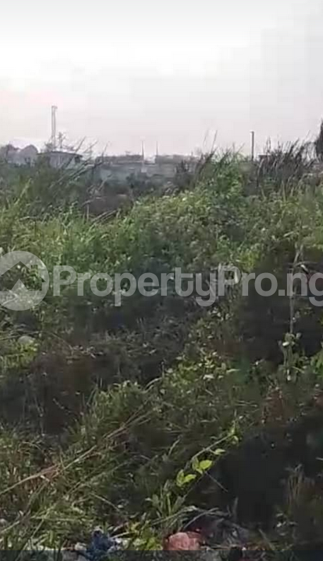 Land for sale Near International Breweries Along Sagamu Siun Road, Sagamu Interchange Kajola Obafemi Owode Ogun