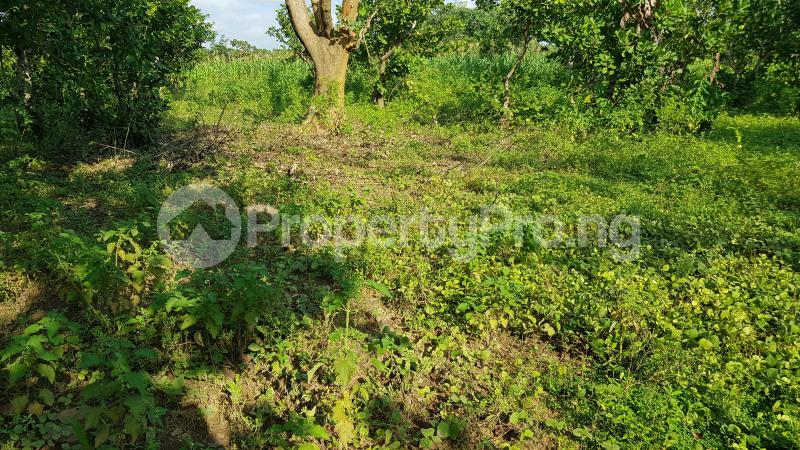 Land for sale Access From Airport Road Pyakassa Abuja