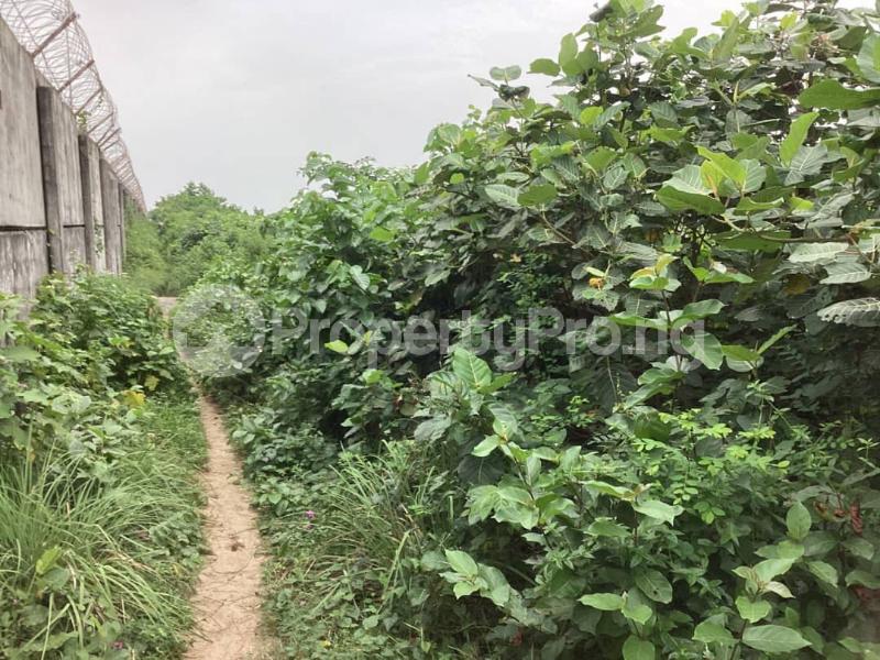Land for sale Free Trade Zone Ibeju-Lekki Lagos