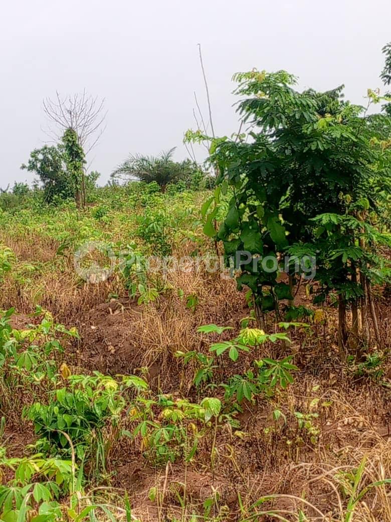Land for sale Abijo Ajah Lagos