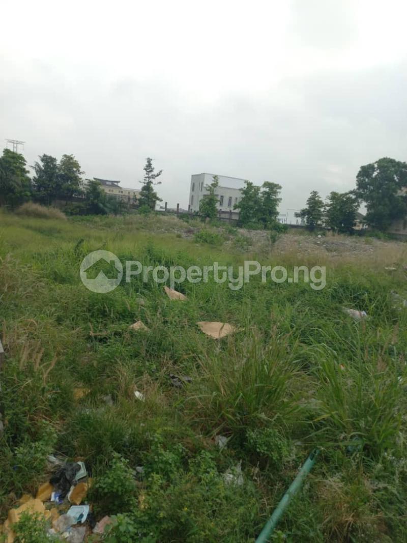 Land for rent Eleganza Mall VGC Lekki Lagos