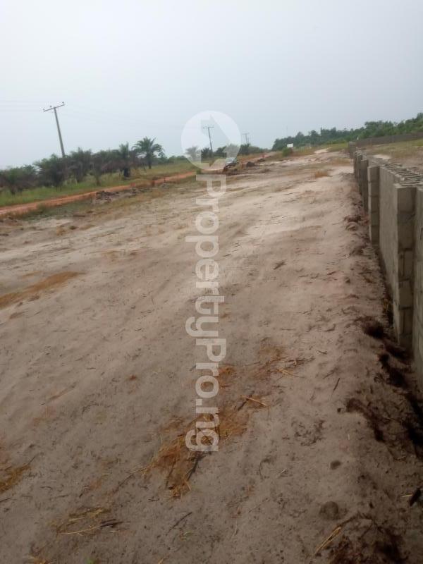 Land for sale Ohaji/Egbema Imo