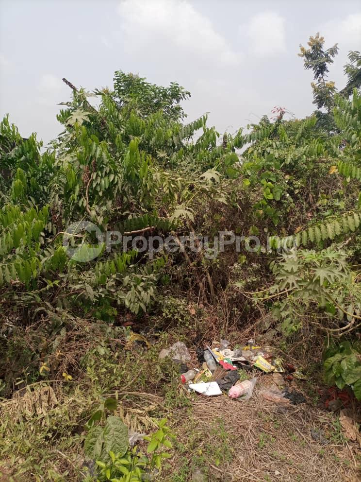 Land for sale Omi Adio Apata Ibadan Oyo