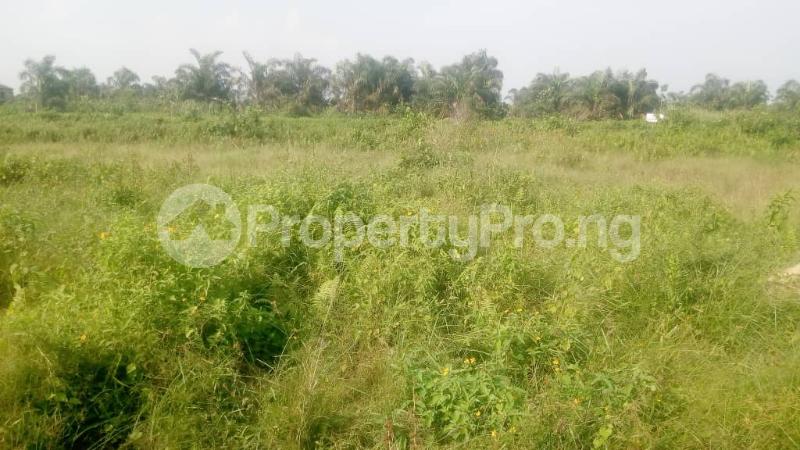 Land for sale Shapati Beside Beachwood Esate Ibeju-Lekki Lagos