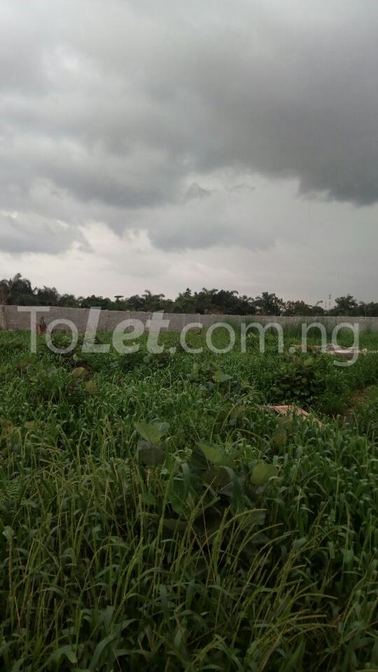 Land for sale Elemu B/stop, Bucknor Estate Bucknor Isolo Lagos