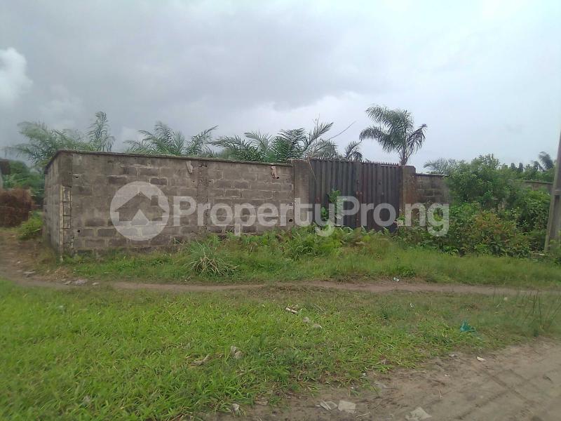 Land for sale Roi Garden Estate Ogombo Ajah Lagos - 0