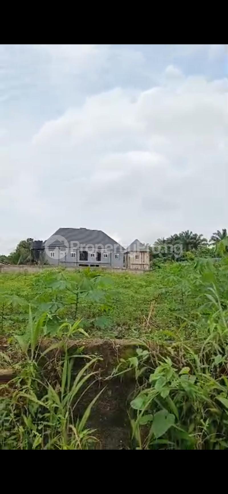 Land for sale Umuguma, Behind Buffalo Owerri Imo