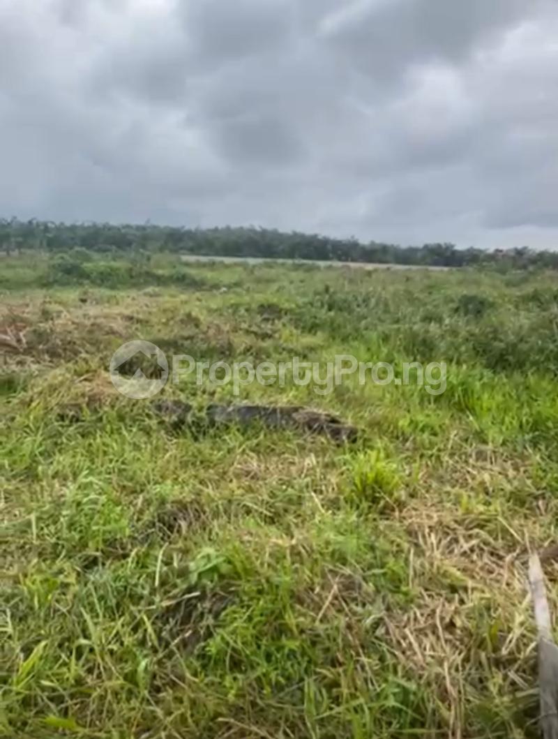 Land for sale Behind Shoprite Off Monastery Road, Sangotedo Ajah Sangotedo Ajah Lagos - 0