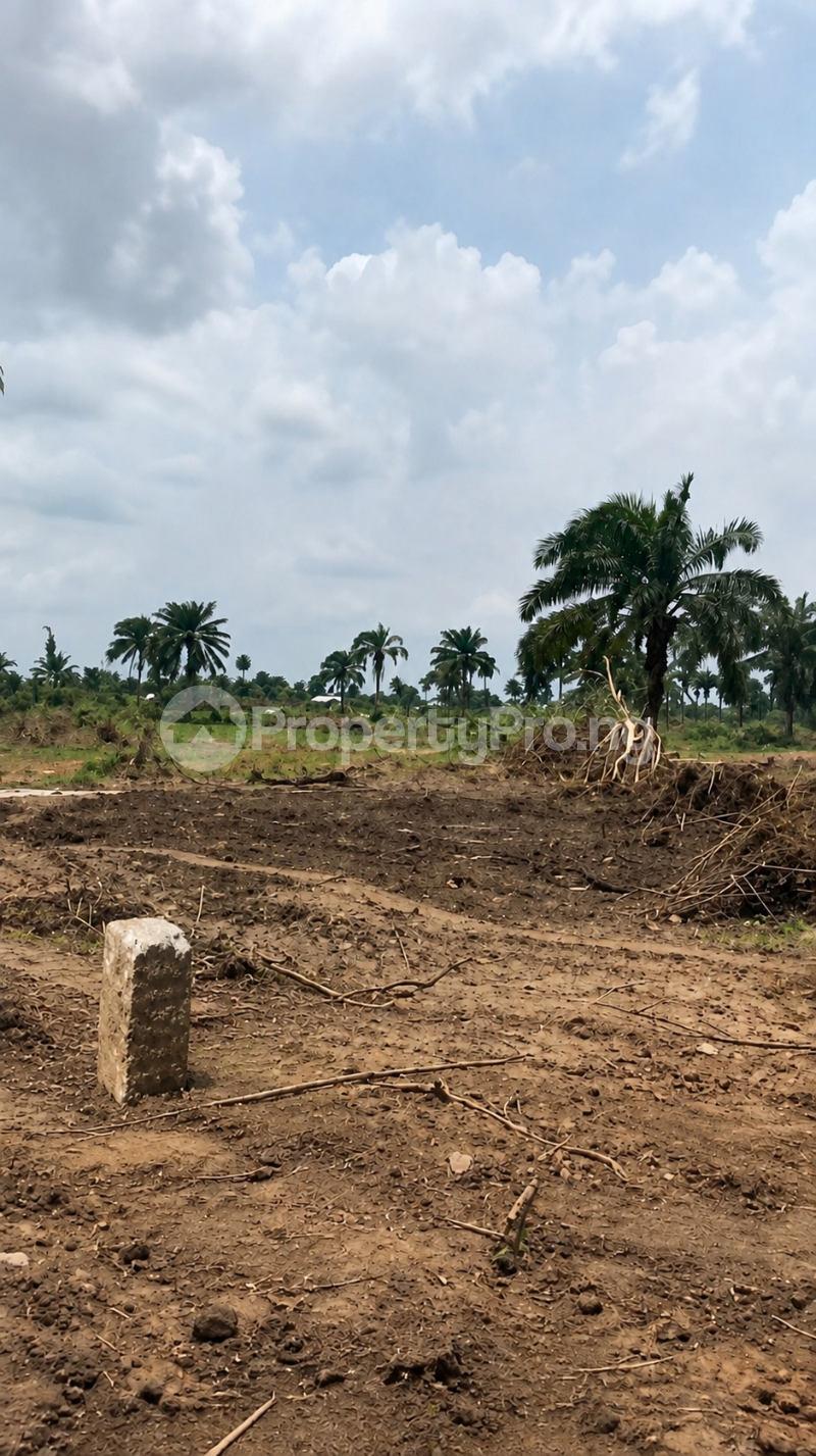 Land for sale Behind Ust Faculty Of Agriculture Etche Rivers