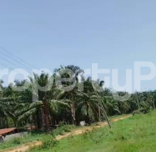 Land for sale Ikire Osun State Osogbo Osun