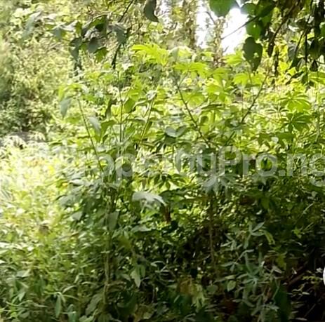 Land for sale New Shasha Market, Ondo Road, Akure. Akure Ondo