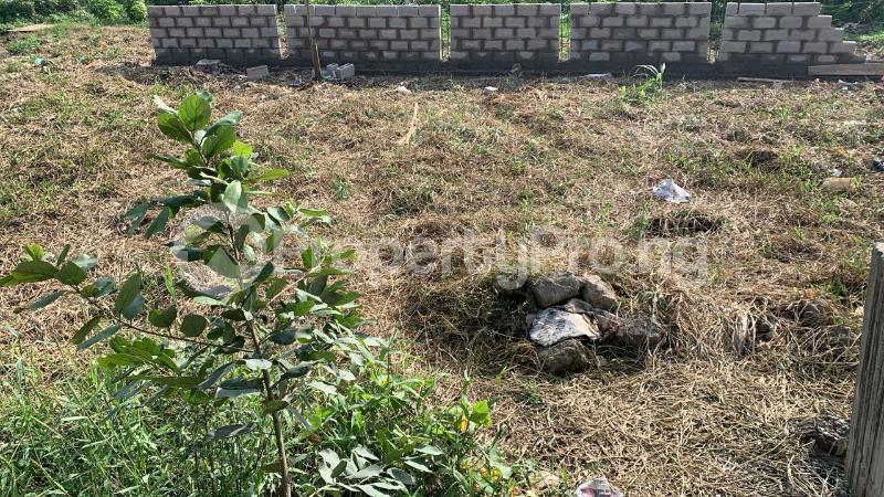 Land for sale  Oke-Ira Ogba Lagos - 0