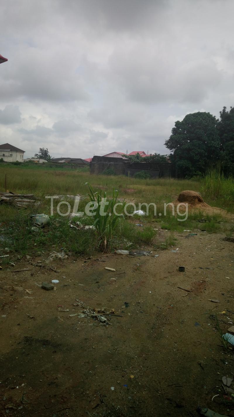 Land for sale Chemist Akoka Yaba Lagos - 0