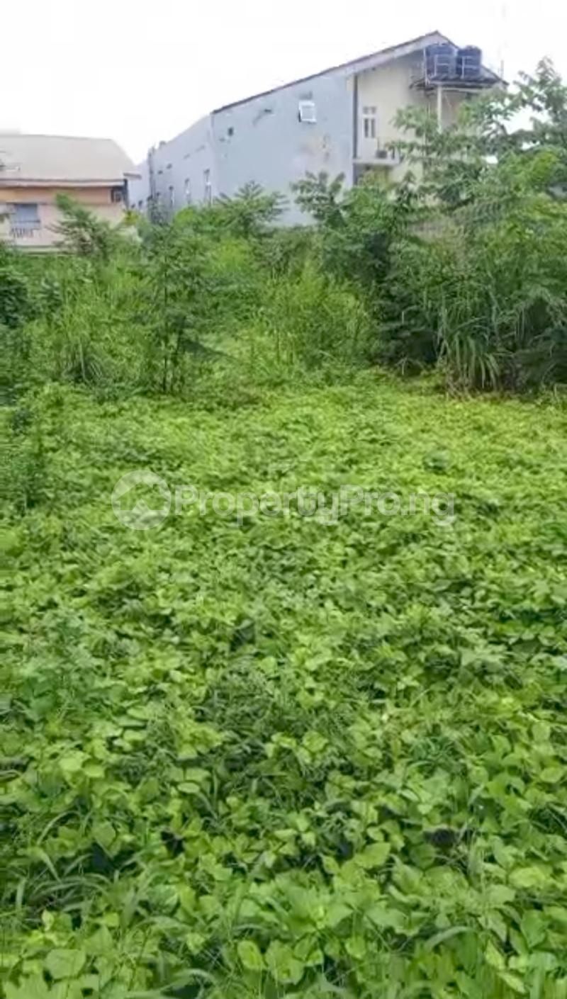 Land for sale Off Admiralty Road Lekki Phase 1 Lekki Lagos - 0