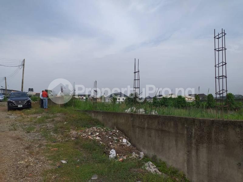 Land for sale Foursquare Gospel Church Way, Magodo Phase 2,it Is Opposite New Magodo GRA Phase 1 Ojodu Lagos - 6