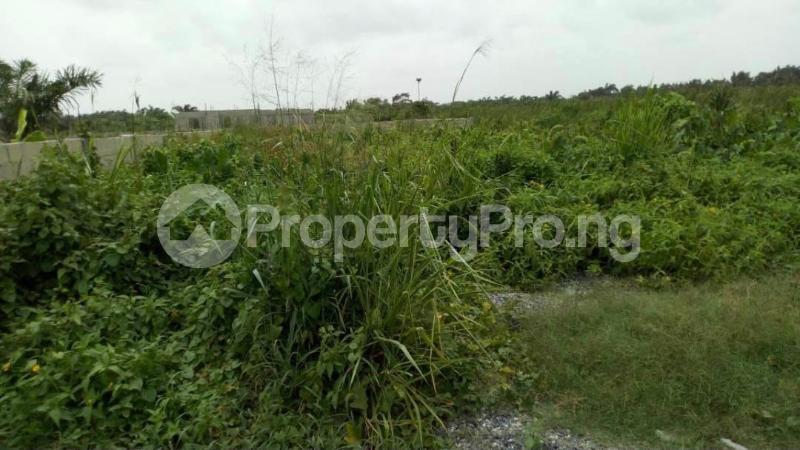Land for sale Bogije Bogije Sangotedo Lagos
