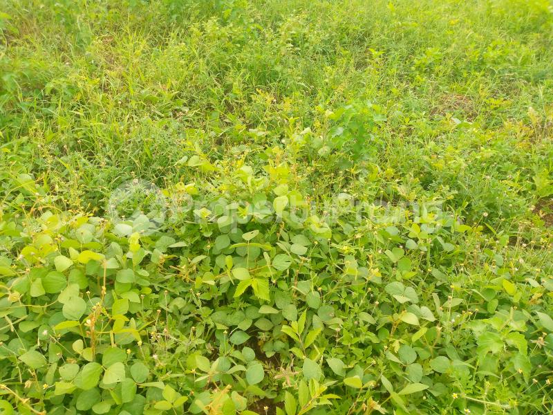 Land for sale Front Of Pension Board Kubwa Abuja