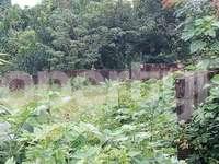 Land for sale Oniru ONIRU Victoria Island Lagos