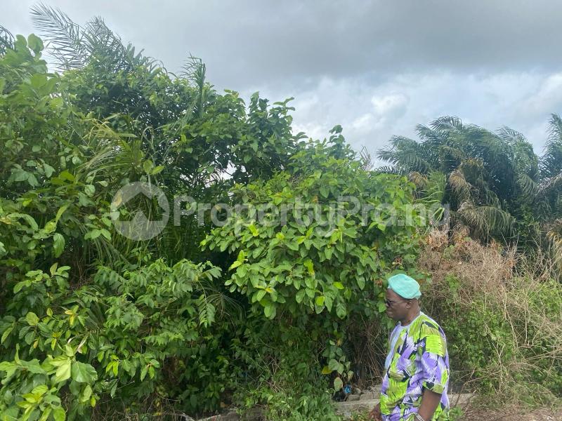 Land for sale Abijo Ajah Lagos