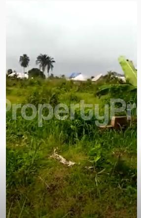Land for sale Idoro Road Uyo Akwa Ibom - 3